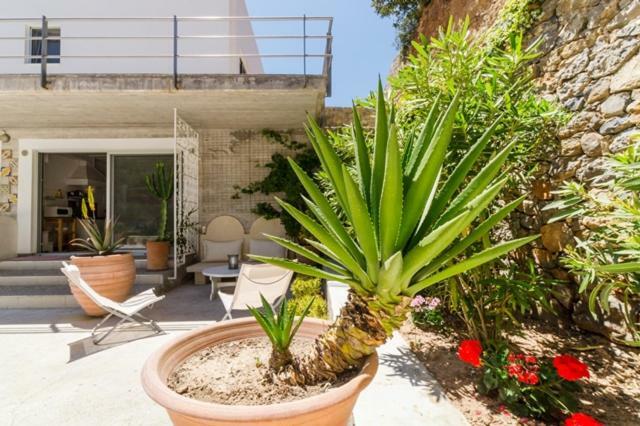 Crete Retreat - Nature & Comfort Await 依拉佩特拉 外观 照片
