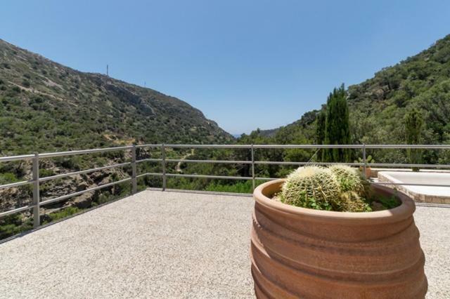 Crete Retreat - Nature & Comfort Await 依拉佩特拉 外观 照片